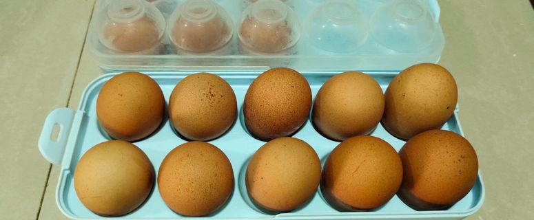 Ikuti cara simpan telur dengan betul agar telur tahan lama.