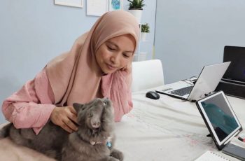 Cara Jaga Kucing Betina Selepas Dimandulkan, No. 5 Tu Ngeri!