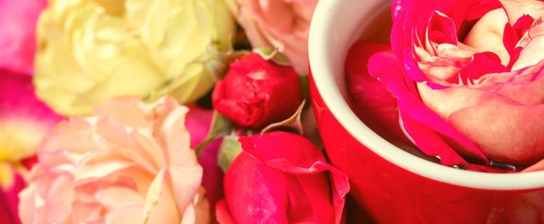 Air bunga ros kaya khasiat untuk kecantikan.